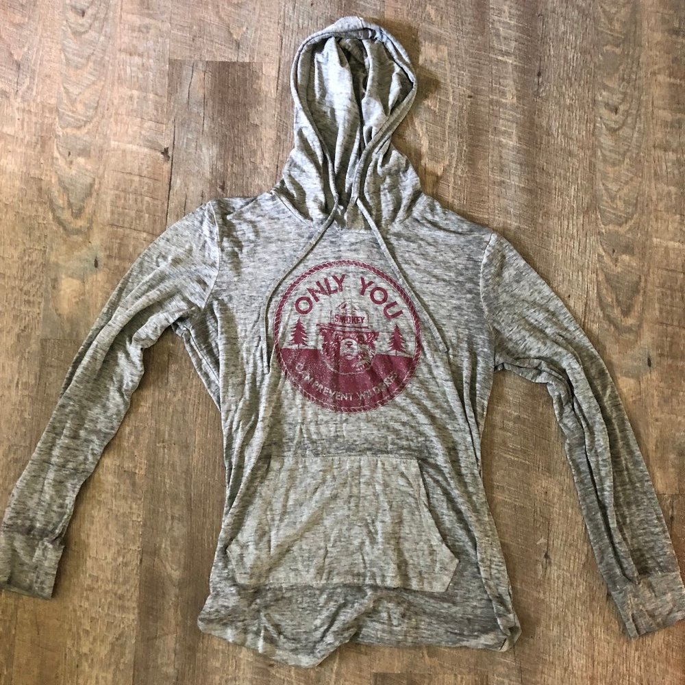 Smokey the Bear Hoodie